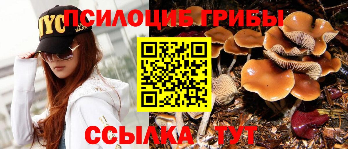 Псилоцибиновые грибы Magic Shrooms  Вход с VPN  Галлюциногенные грибы Psilocybine cubensis  наркошоп  Кандалакша 