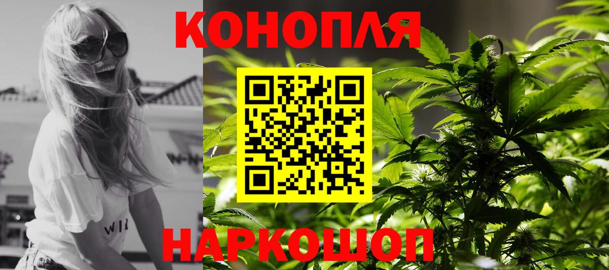 Бошки марихуана планчик  Конопля Amnesia  Вход с VPN  Кандалакша  Бошки Шишки SATIVA & INDICA 